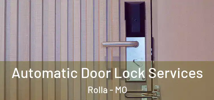  Automatic Door Lock Services Rolla - MO