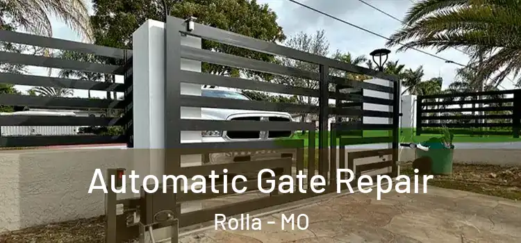 Automatic Gate Repair Rolla - MO