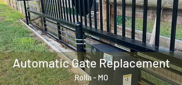 Automatic Gate Replacement Rolla - MO