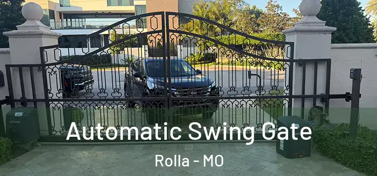 Automatic Swing Gate Rolla - MO