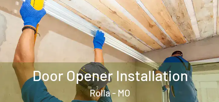  Door Opener Installation Rolla - MO