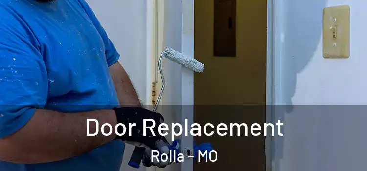  Door Replacement Rolla - MO