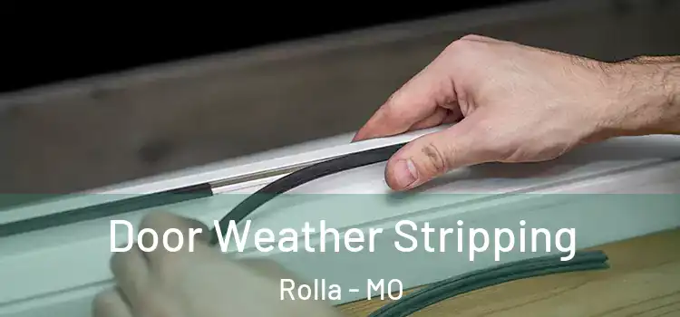  Door Weather Stripping Rolla - MO