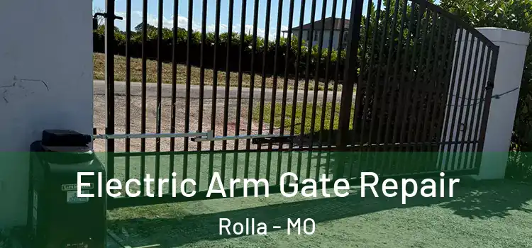  Electric Arm Gate Repair Rolla - MO