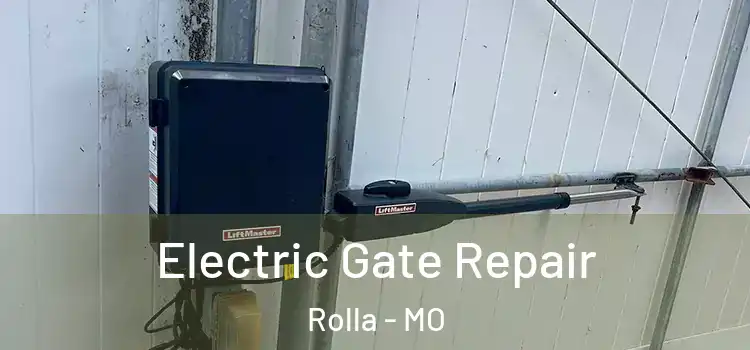  Electric Gate Repair Rolla - MO