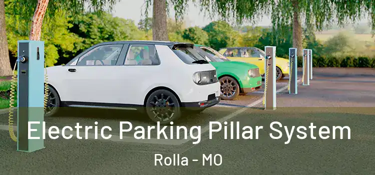  Electric Parking Pillar System Rolla - MO