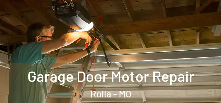  Garage Door Motor Repair Rolla - MO