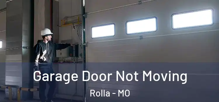  Garage Door Not Moving Rolla - MO