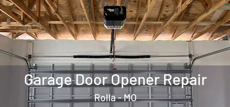  Garage Door Opener Repair Rolla - MO