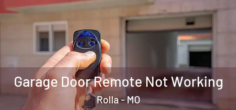 Garage Door Remote Not Working Rolla - MO