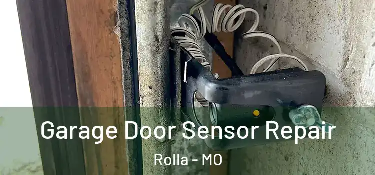  Garage Door Sensor Repair Rolla - MO