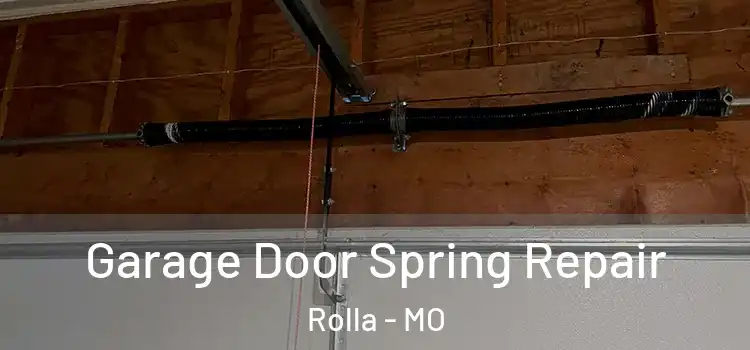  Garage Door Spring Repair Rolla - MO