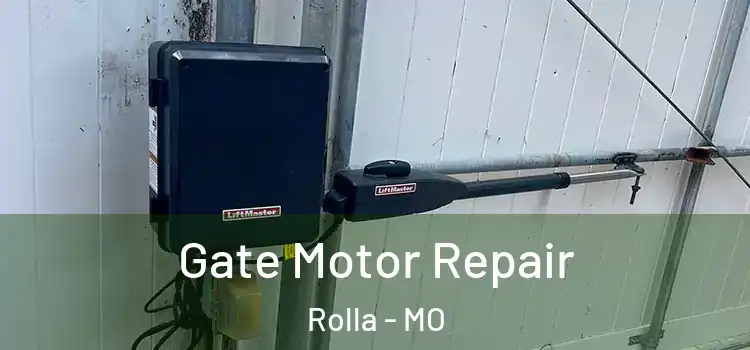  Gate Motor Repair Rolla - MO