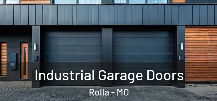  Industrial Garage Doors Rolla - MO