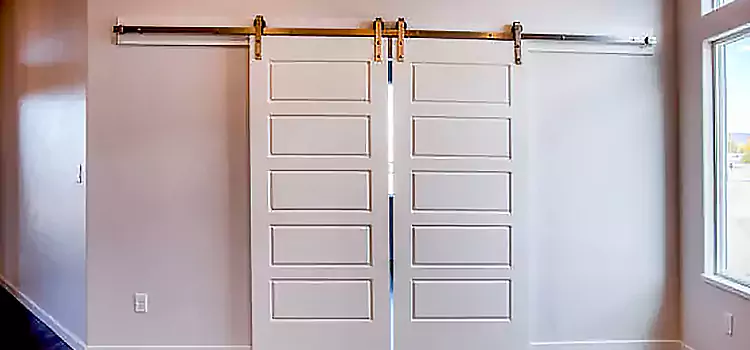 Glass Barn Door with Installation Hardware Kit Rolla