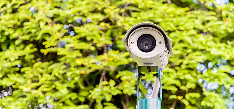 Advanced Surveillance Solutions for Every Need in Rolla