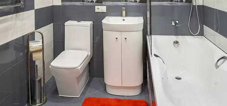 Hansgrohe Shaving Mirror Rolla