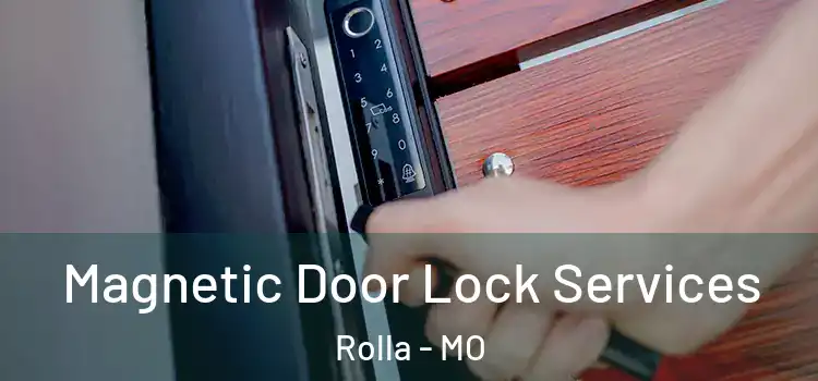  Magnetic Door Lock Services Rolla - MO