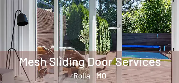  Mesh Sliding Door Services Rolla - MO