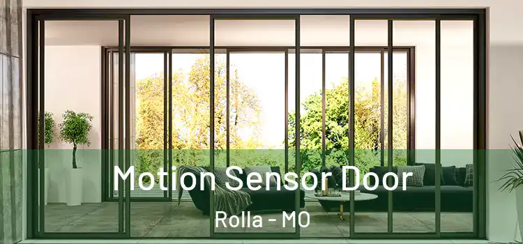 Motion Sensor Door Rolla - MO