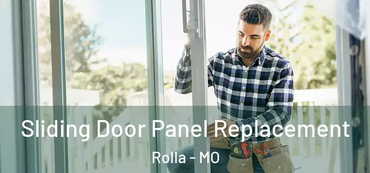  Sliding Door Panel Replacement Rolla - MO