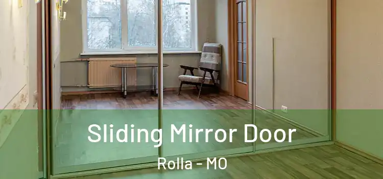  Sliding Mirror Door Rolla - MO