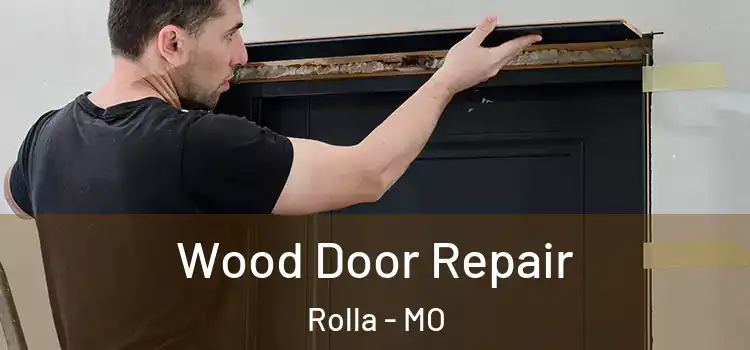  Wood Door Repair Rolla - MO